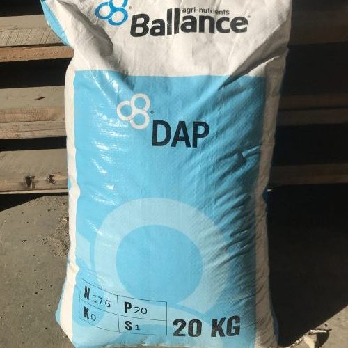 Balance DAP